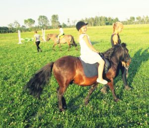 Pastaiga ar ponijiem grupām!
